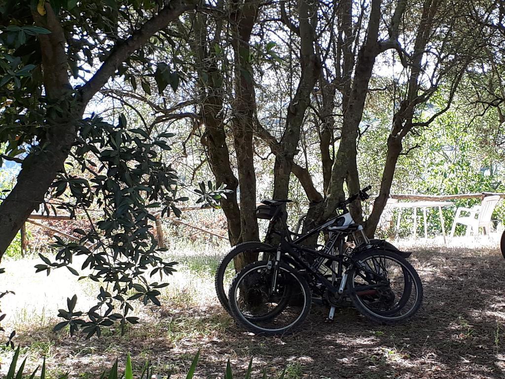 Fattoria Il Milione Agriturismo Firenze Eksteriør bilde