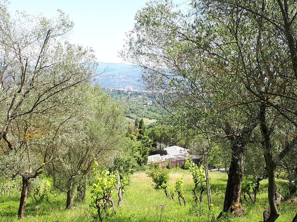 Fattoria Il Milione Agriturismo Firenze Eksteriør bilde